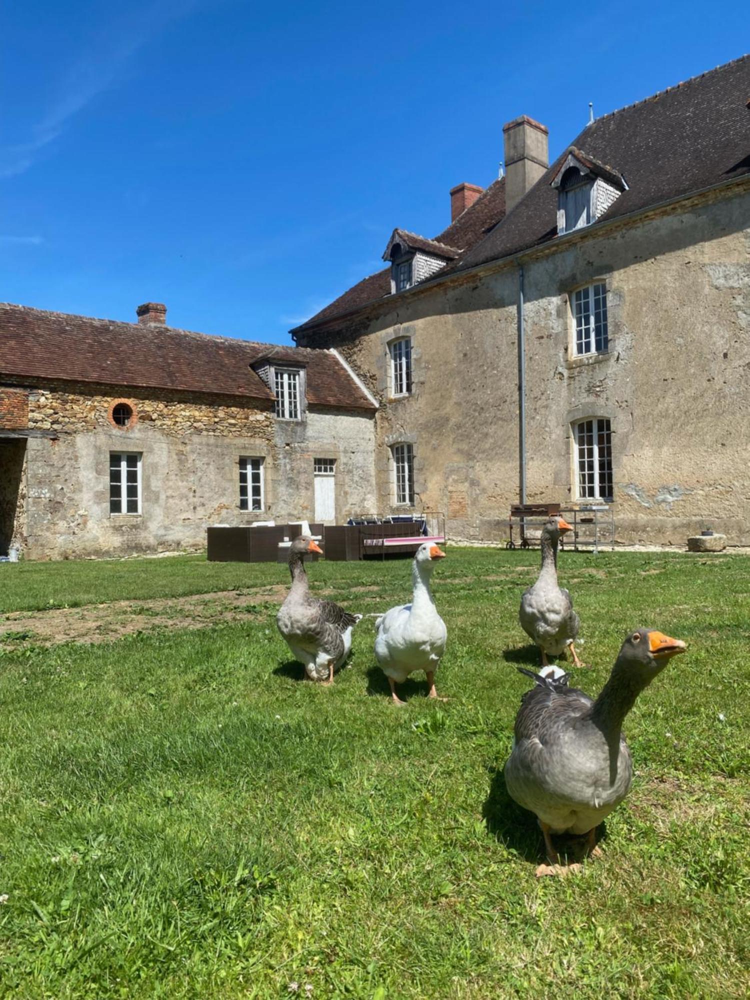 Chateau De Grandsagne Bonnat Esterno foto