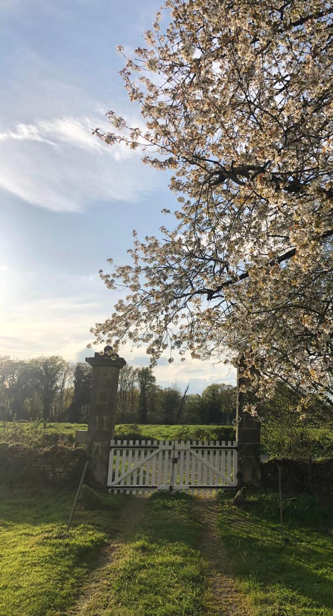 Chateau De Grandsagne Bonnat Esterno foto